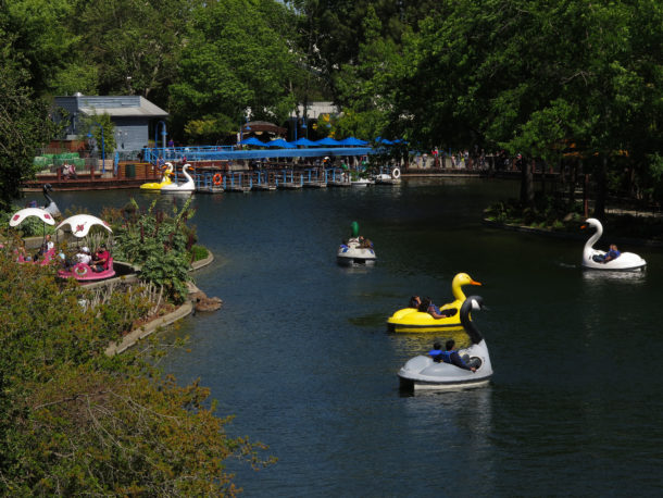 , A Blooming Wet Time at Gilroy Gardens