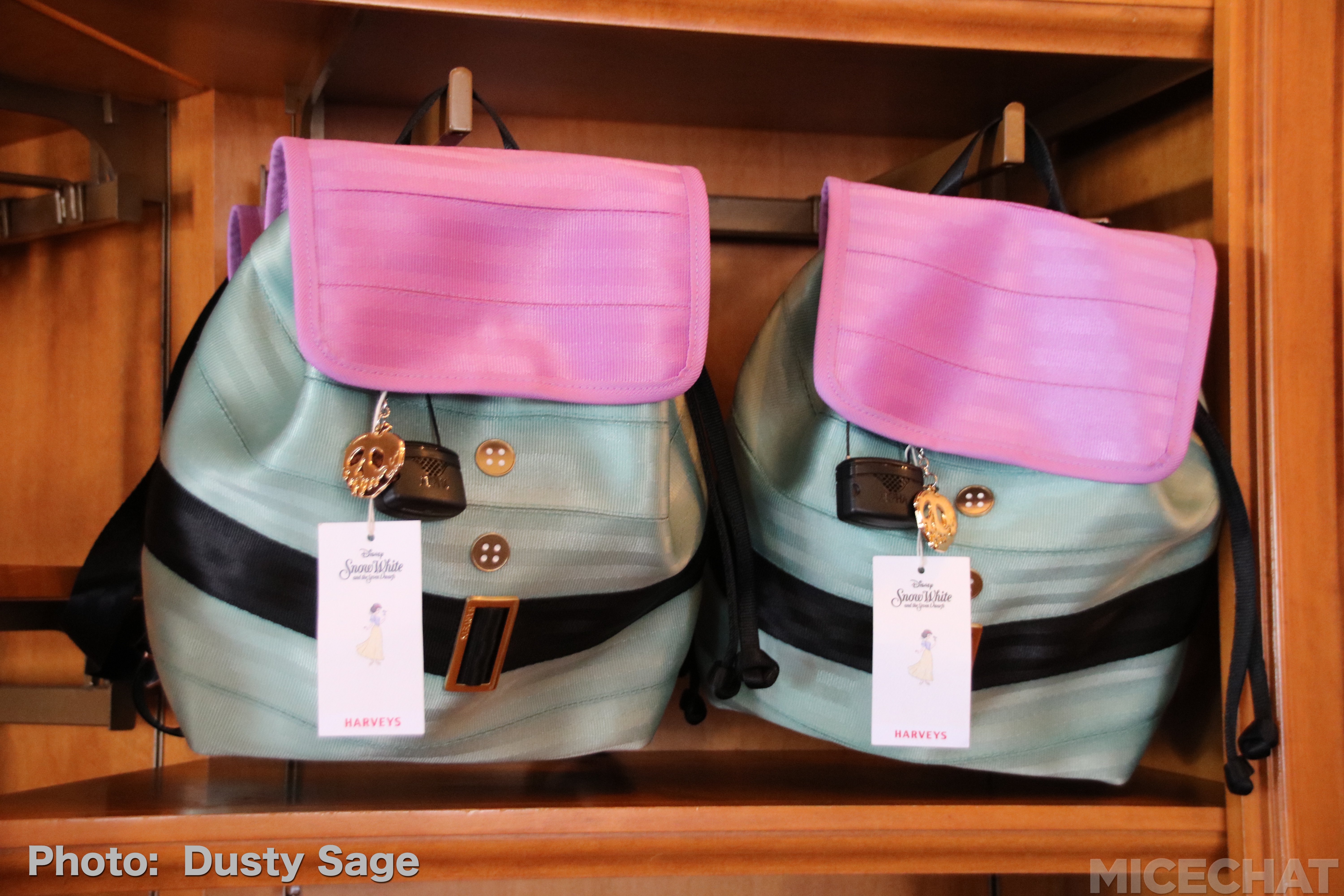 , Disneyland Resort Update – Maintenance, Strollers, and Pixar in the Parks