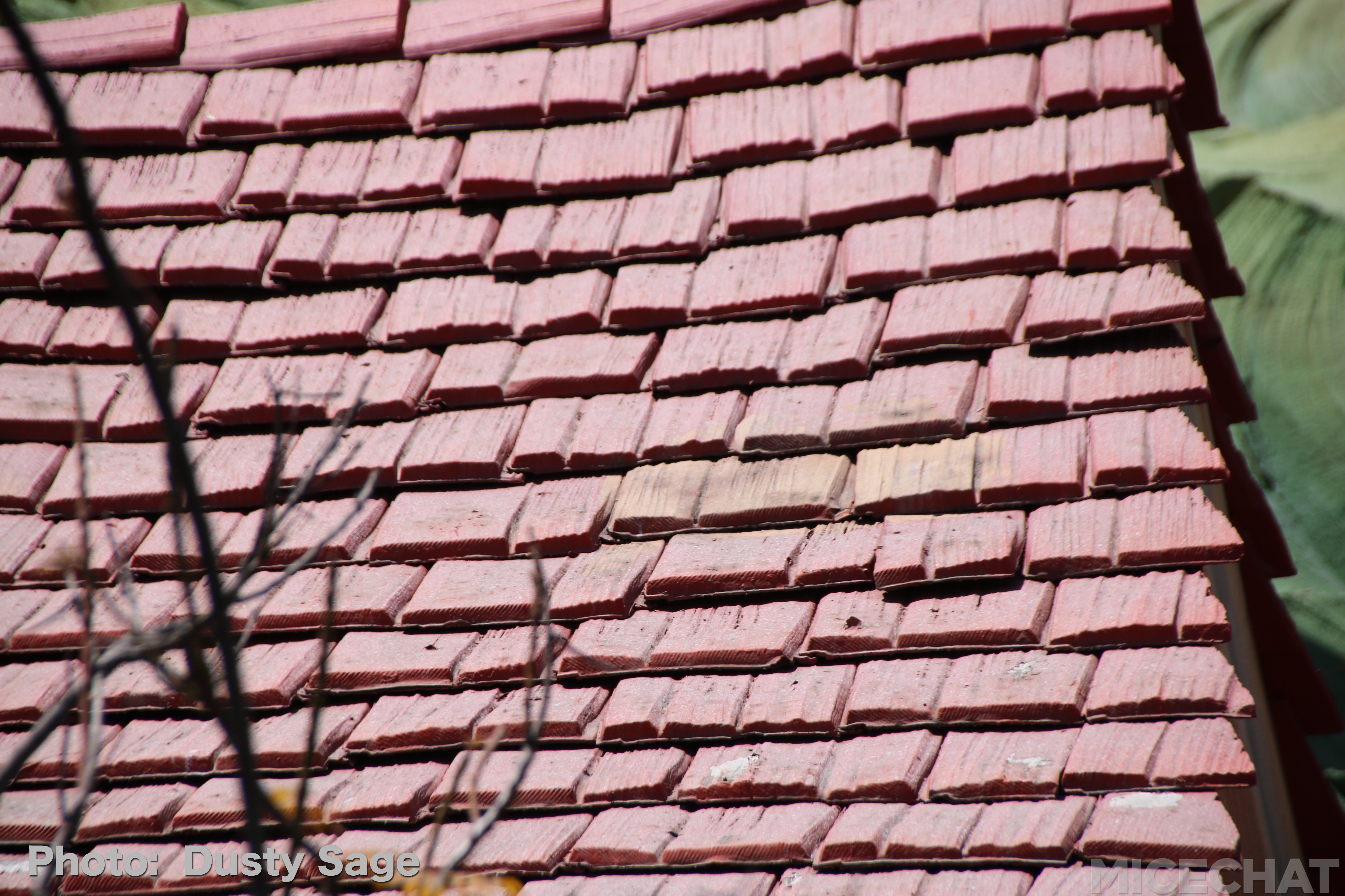 , Disneyland Resort Update – Maintenance, Strollers, and Pixar in the Parks