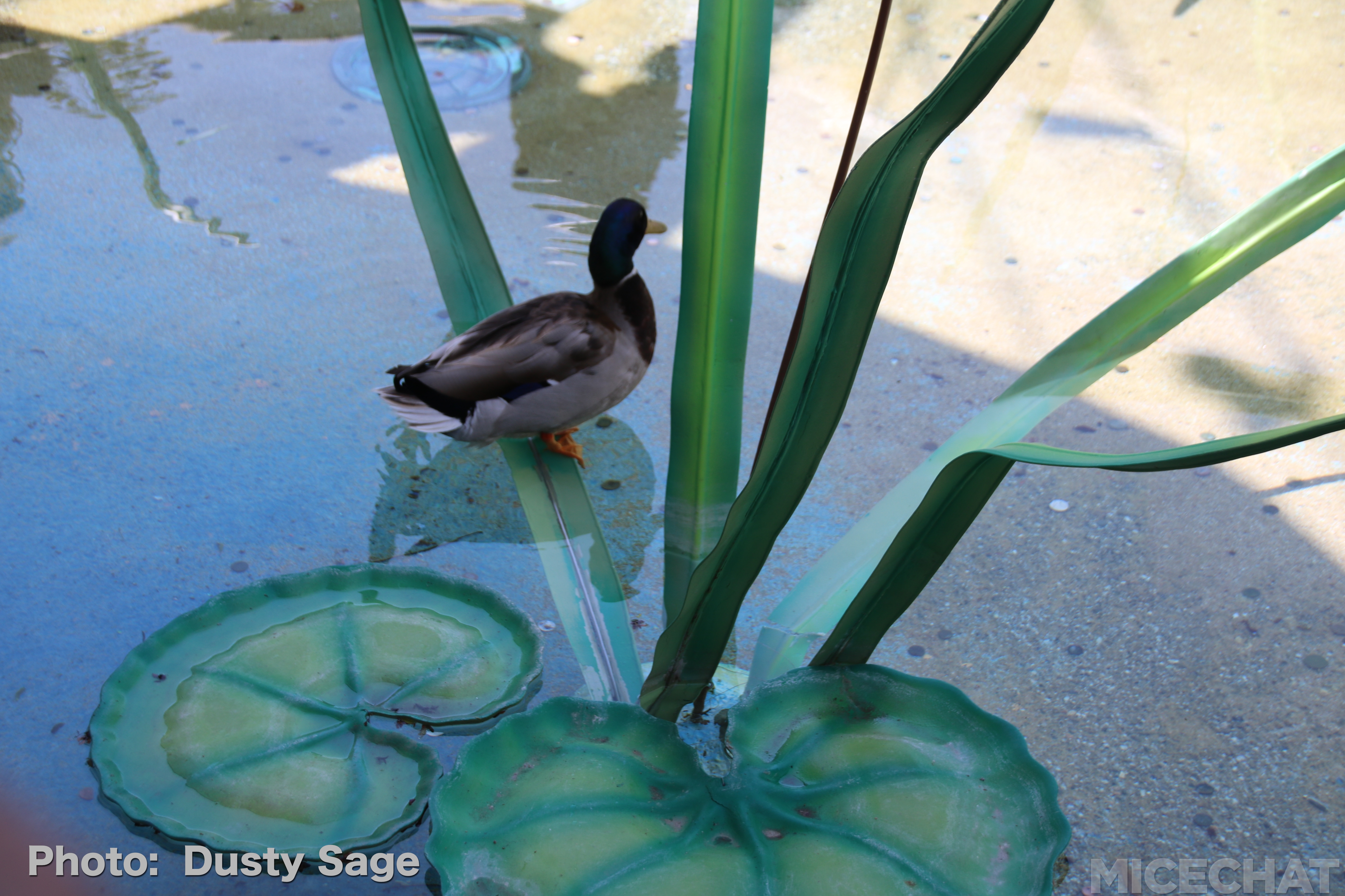 , Disneyland Resort Update – Maintenance, Strollers, and Pixar in the Parks