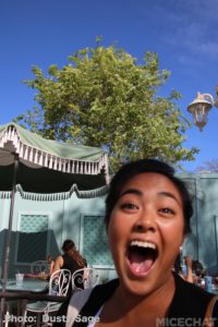 , Disneyland Resort Update – Maintenance, Strollers, and Pixar in the Parks