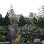 IMG_0931-Disney-
