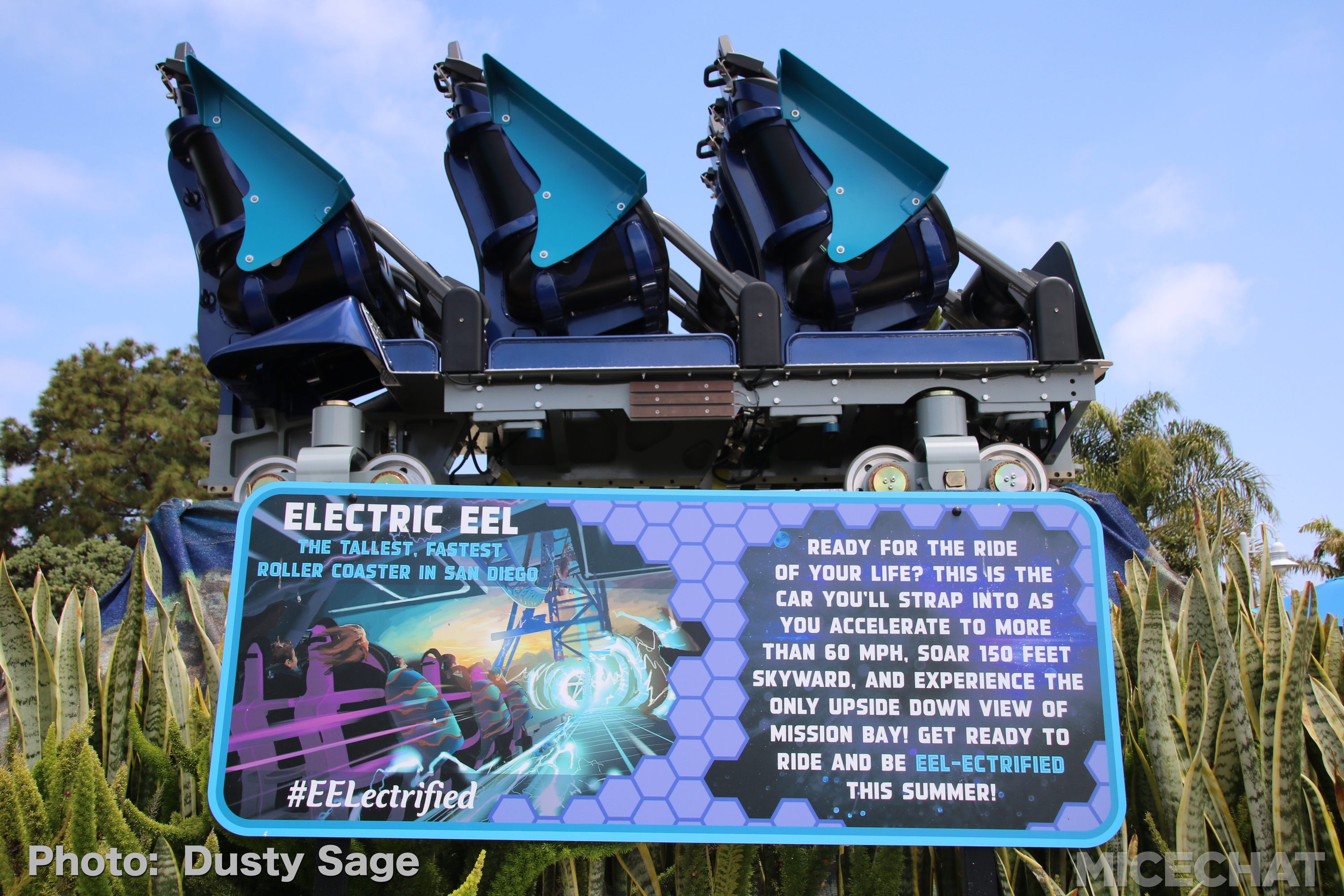 , Electric Eel Triple Launch Coaster Slithers Into SeaWorld San Diego