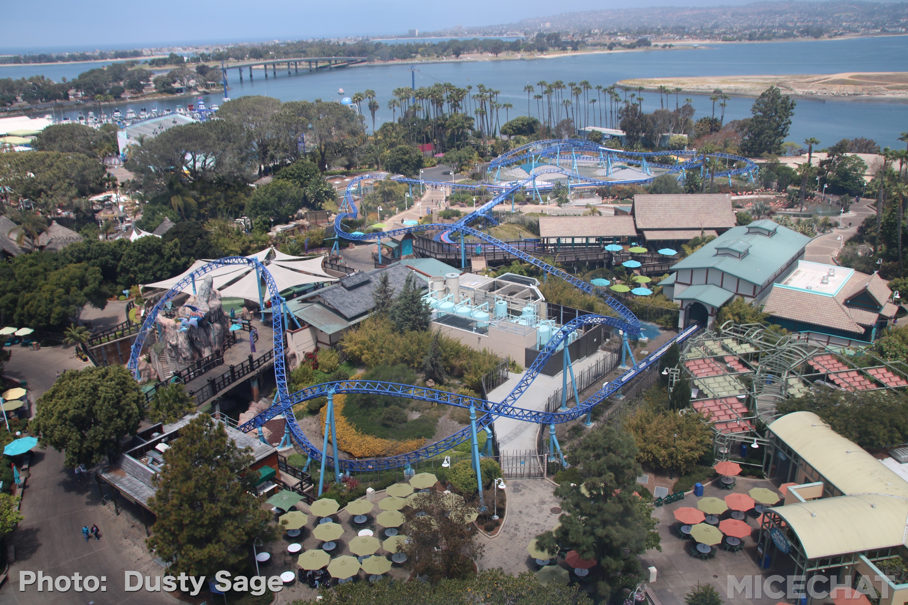 , Electric Eel Triple Launch Coaster Slithers Into SeaWorld San Diego