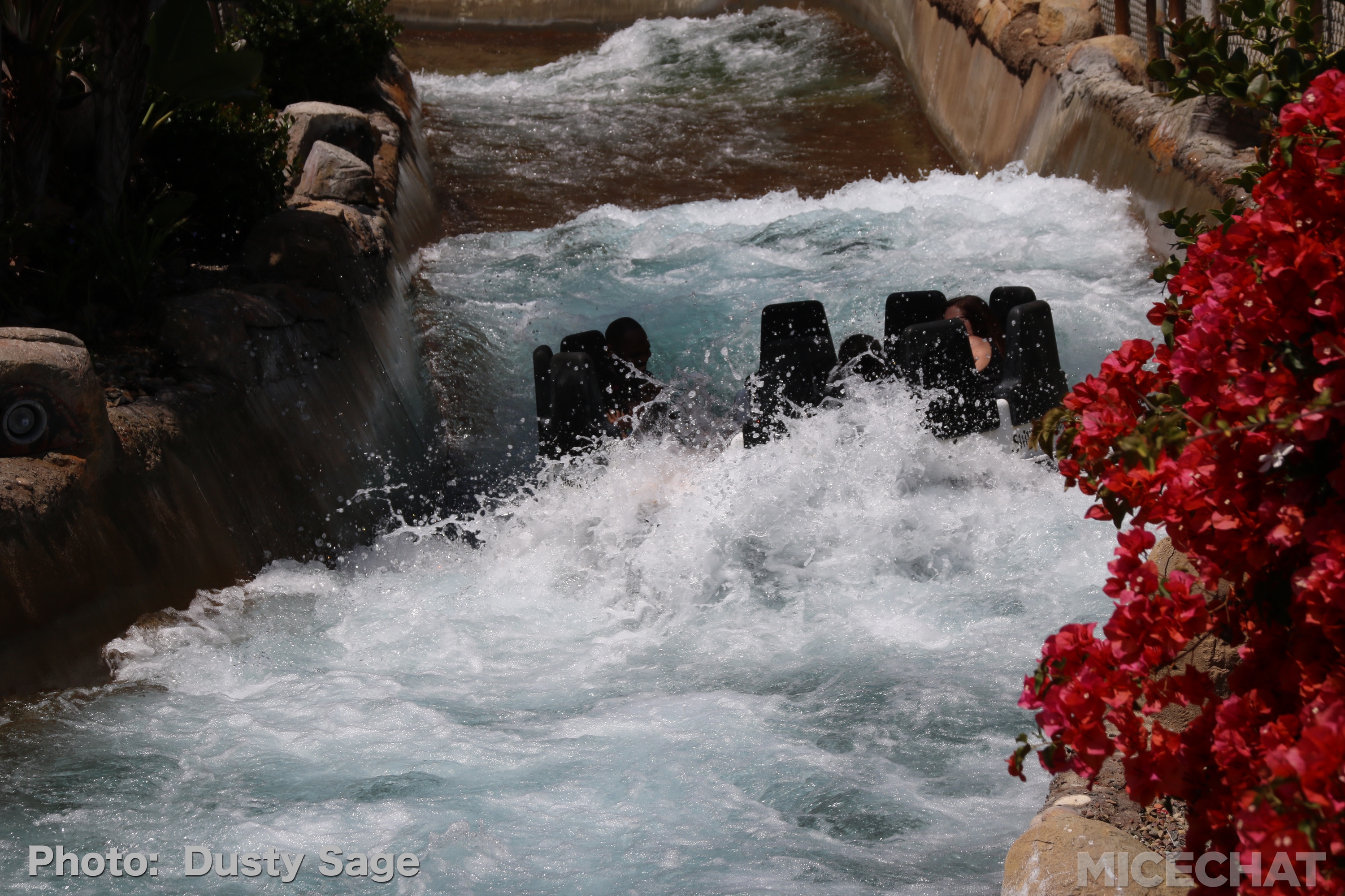 , Electric Eel Triple Launch Coaster Slithers Into SeaWorld San Diego