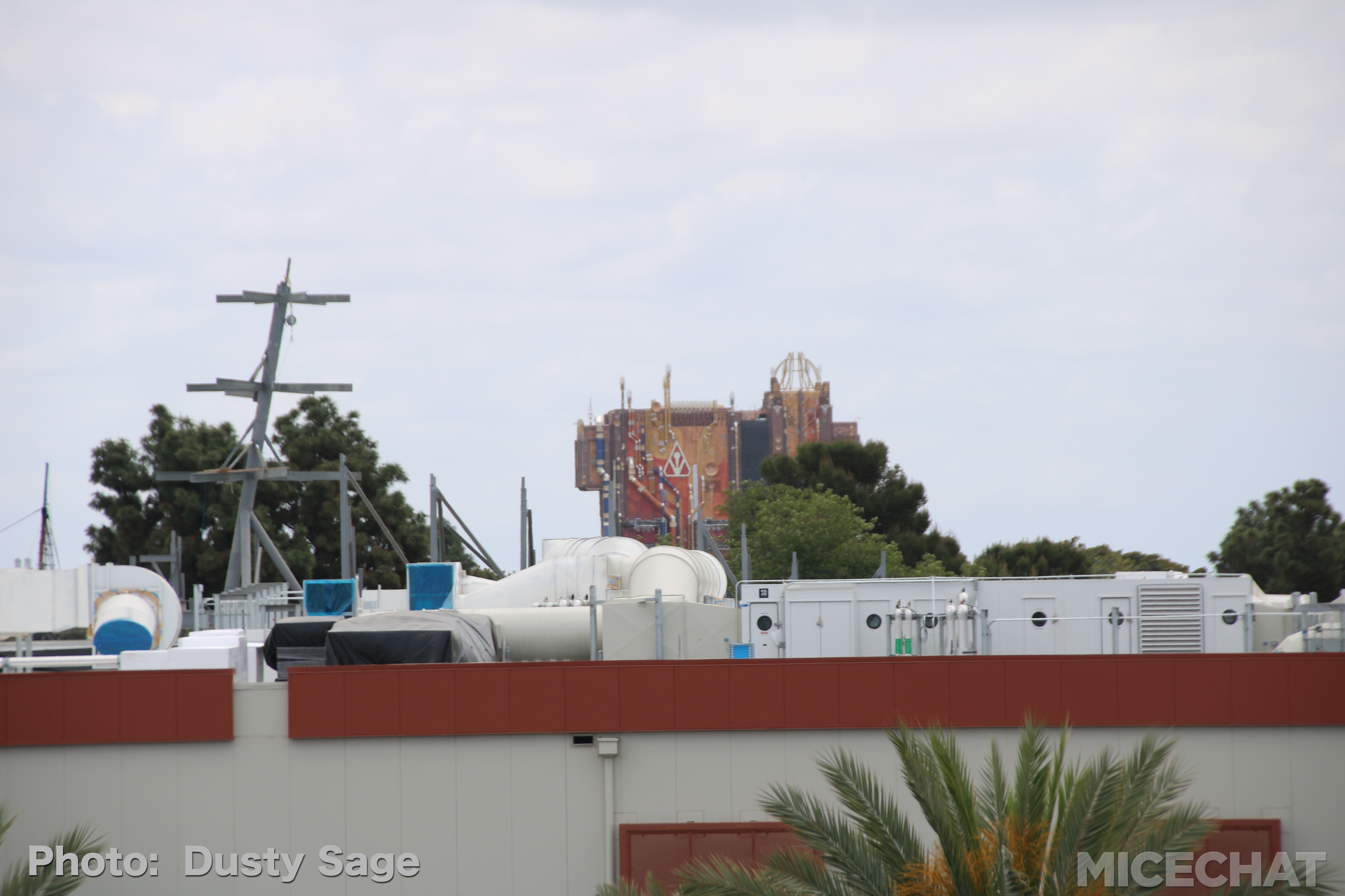 , Disneyland Update – Churro Scam, Galaxy’s Edge, and Cute Baby Animals