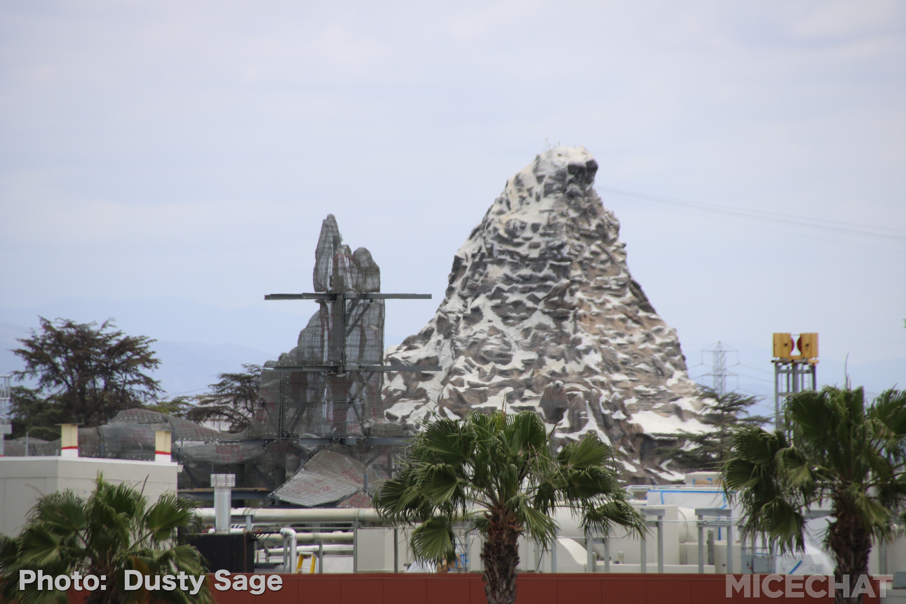 , Disneyland Update – Churro Scam, Galaxy’s Edge, and Cute Baby Animals