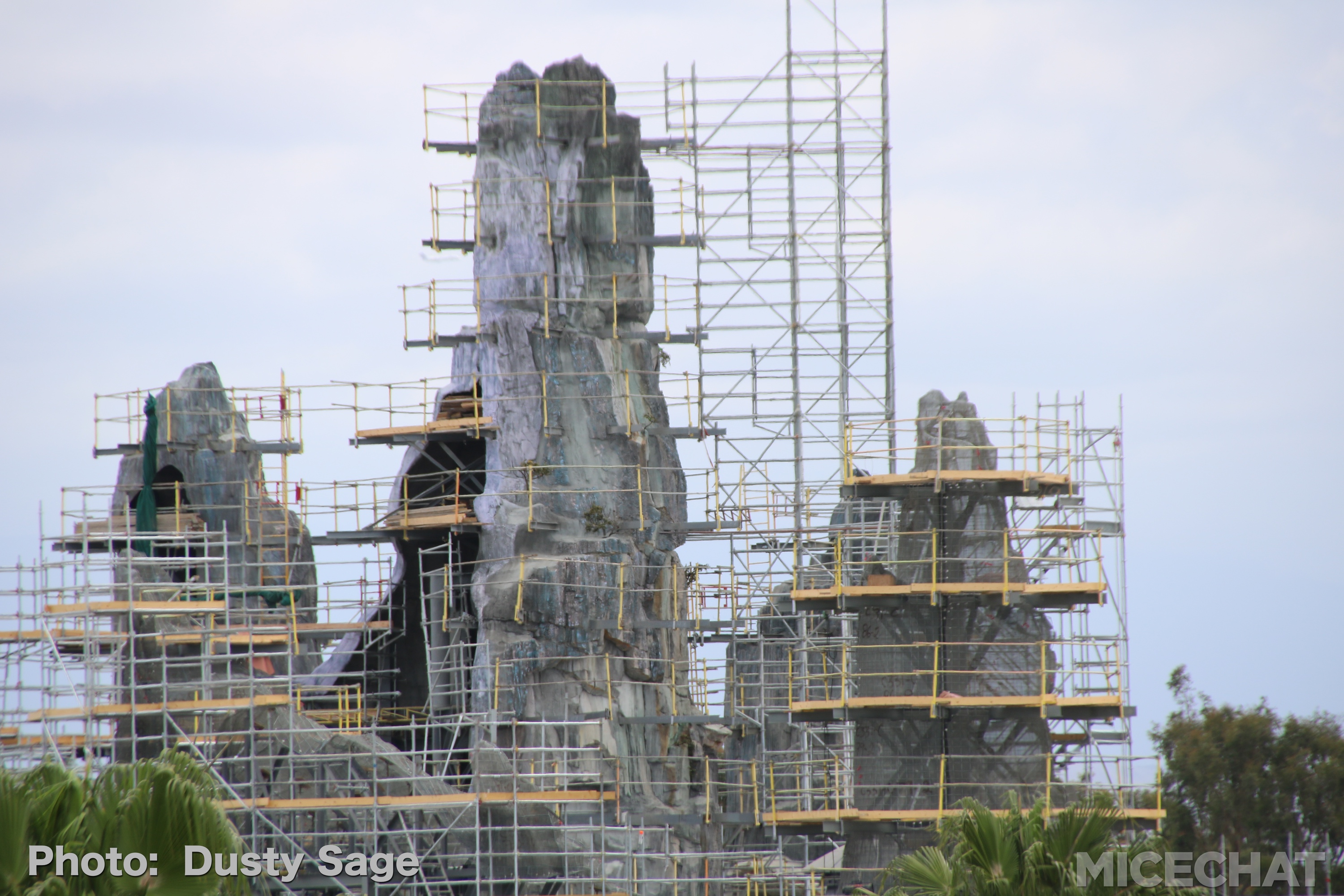 , Disneyland Update – Churro Scam, Galaxy’s Edge, and Cute Baby Animals