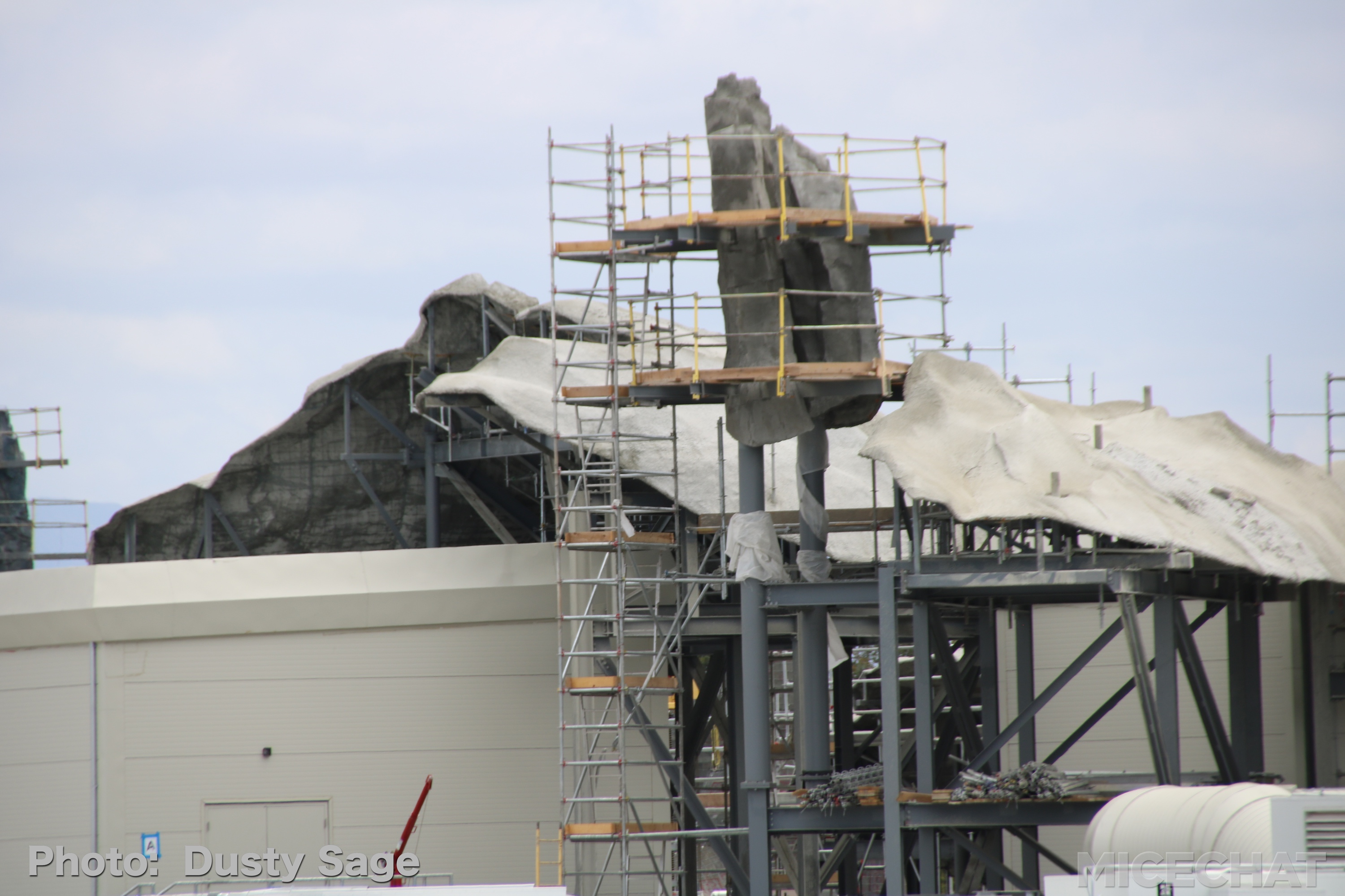 , Disneyland Update – Churro Scam, Galaxy’s Edge, and Cute Baby Animals