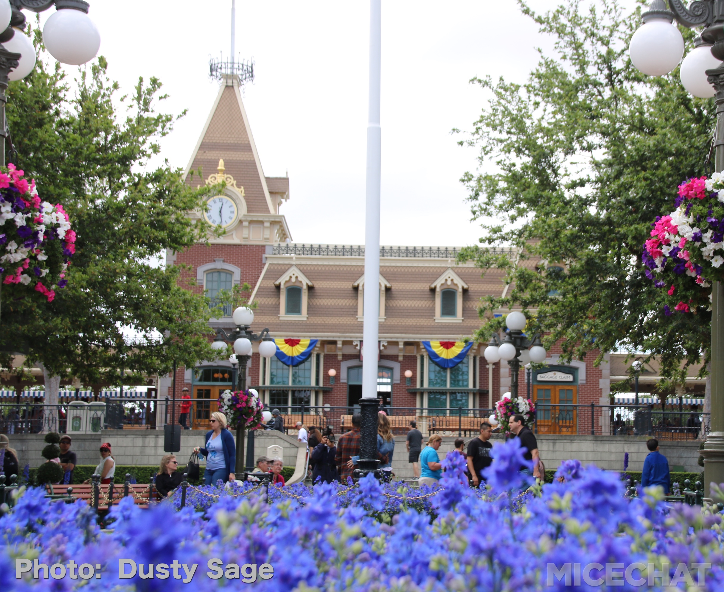 , Disneyland Update – Churro Scam, Galaxy’s Edge, and Cute Baby Animals