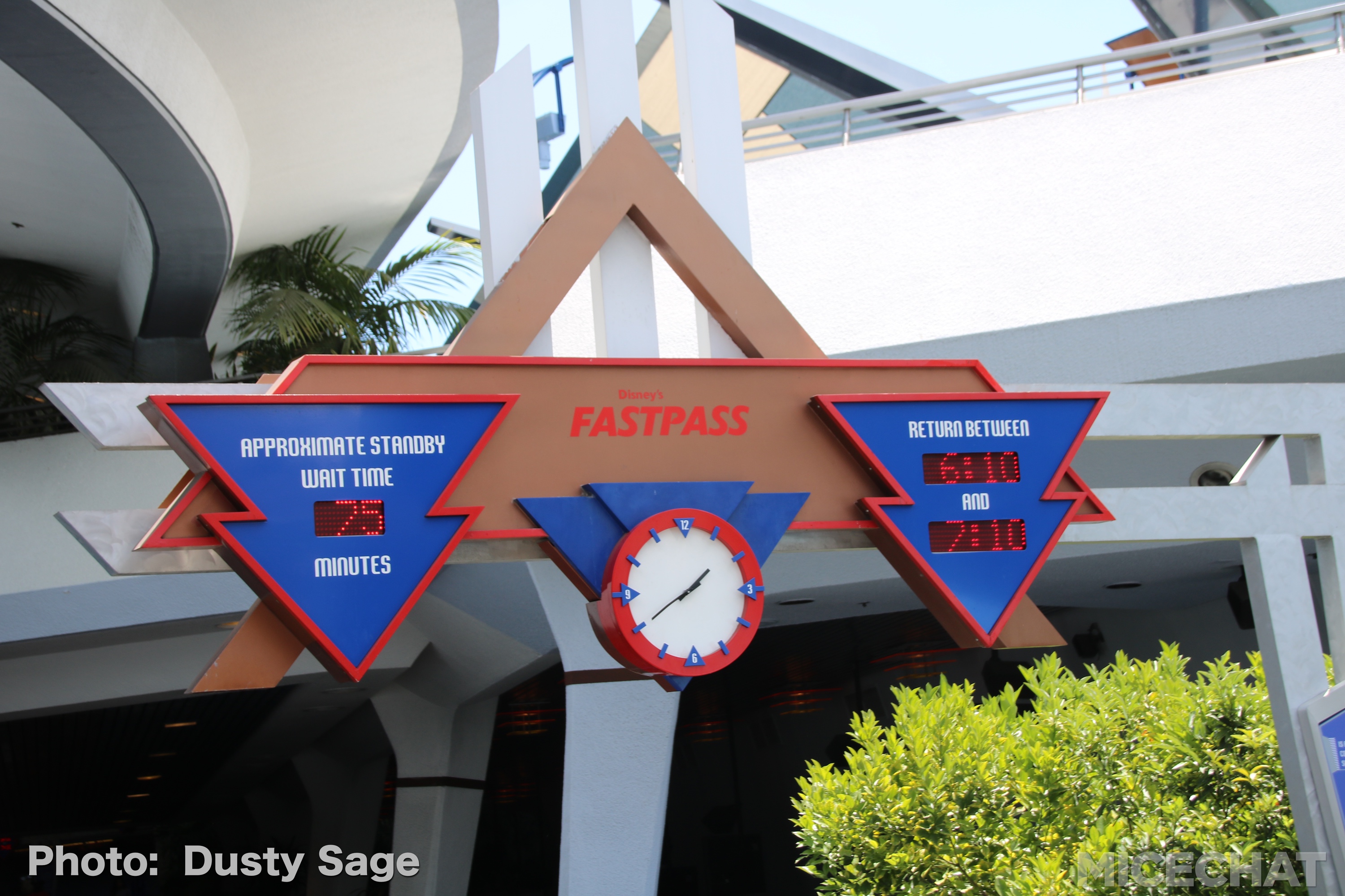 , Disneyland Update – Churro Scam, Galaxy’s Edge, and Cute Baby Animals