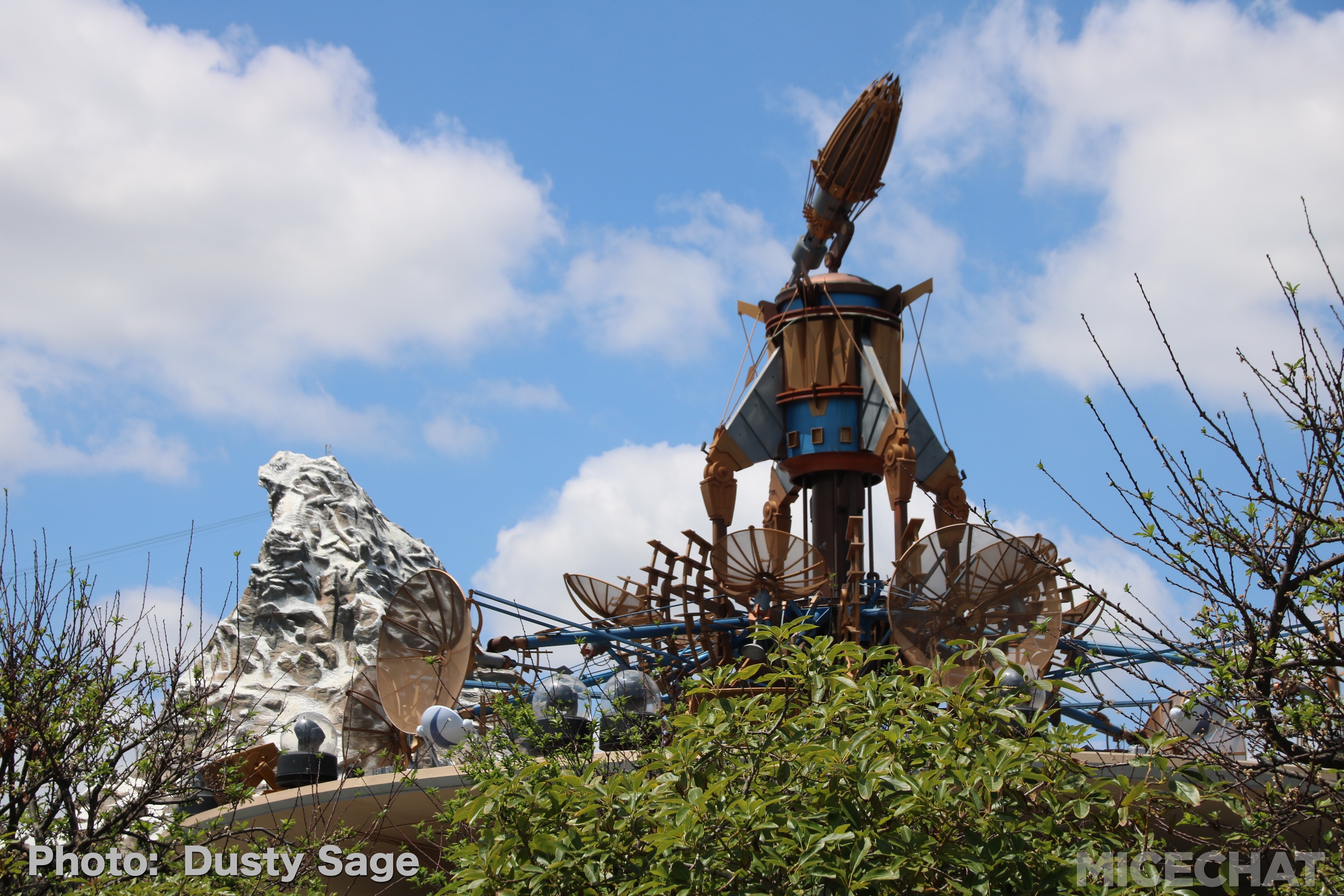 , Disneyland Update – Churro Scam, Galaxy’s Edge, and Cute Baby Animals