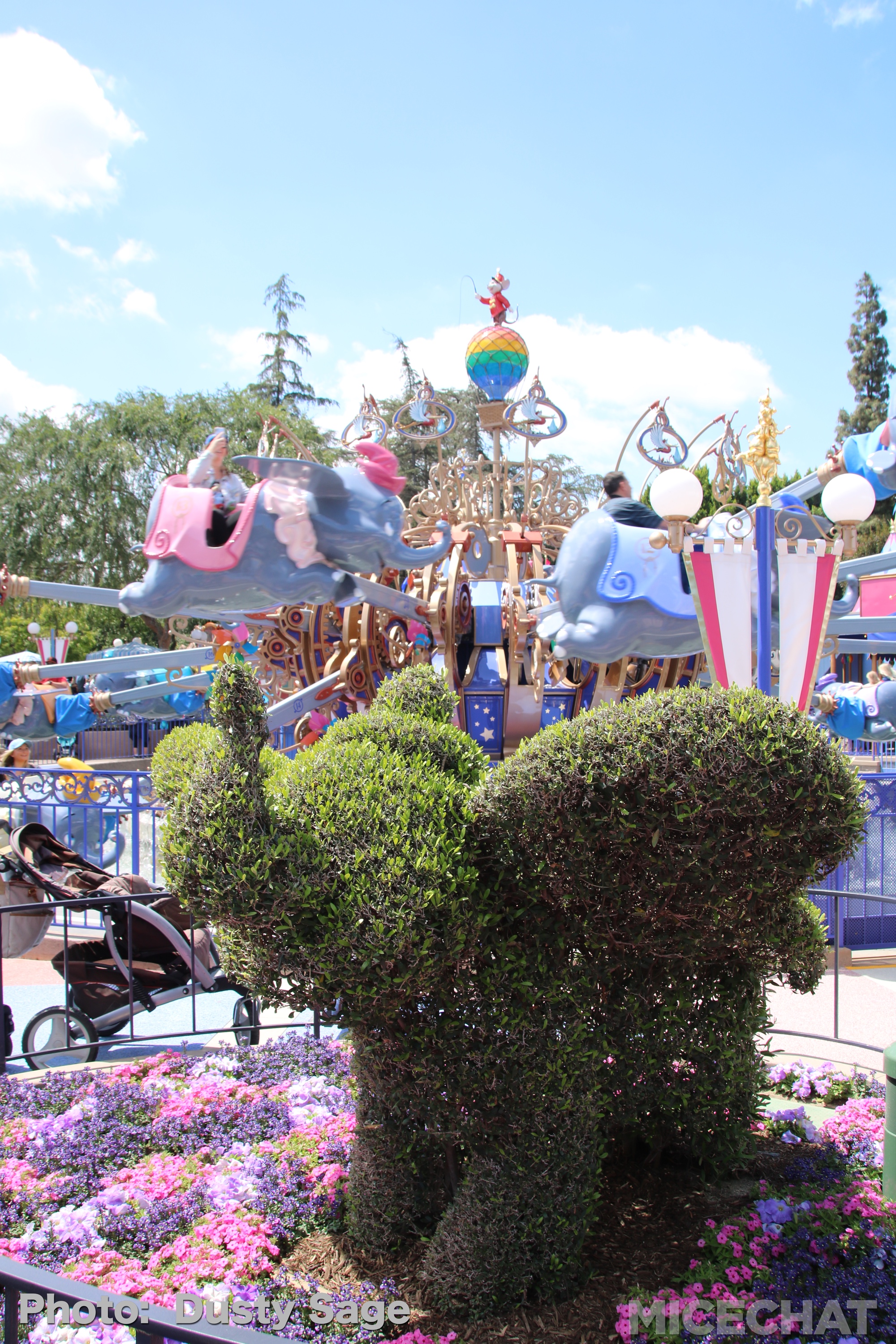 , Disneyland Update – Churro Scam, Galaxy’s Edge, and Cute Baby Animals