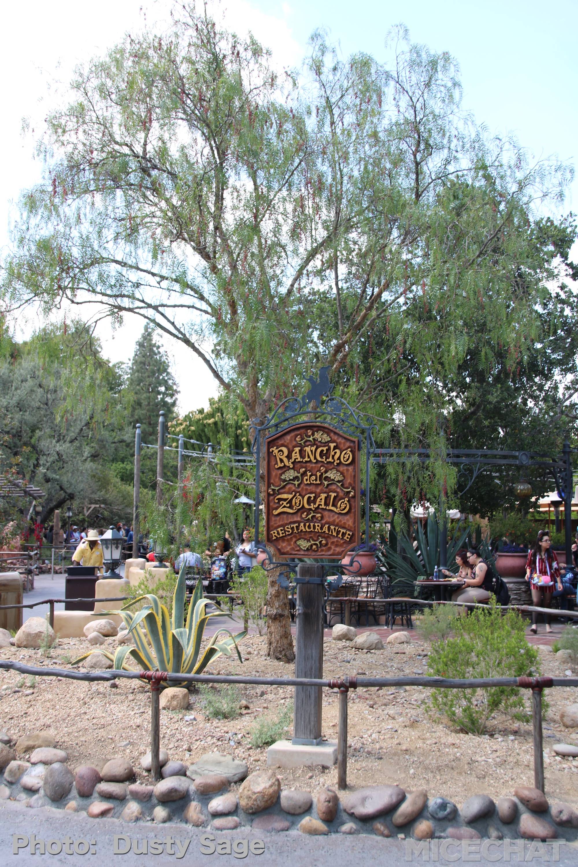 , Disneyland Update – Churro Scam, Galaxy’s Edge, and Cute Baby Animals