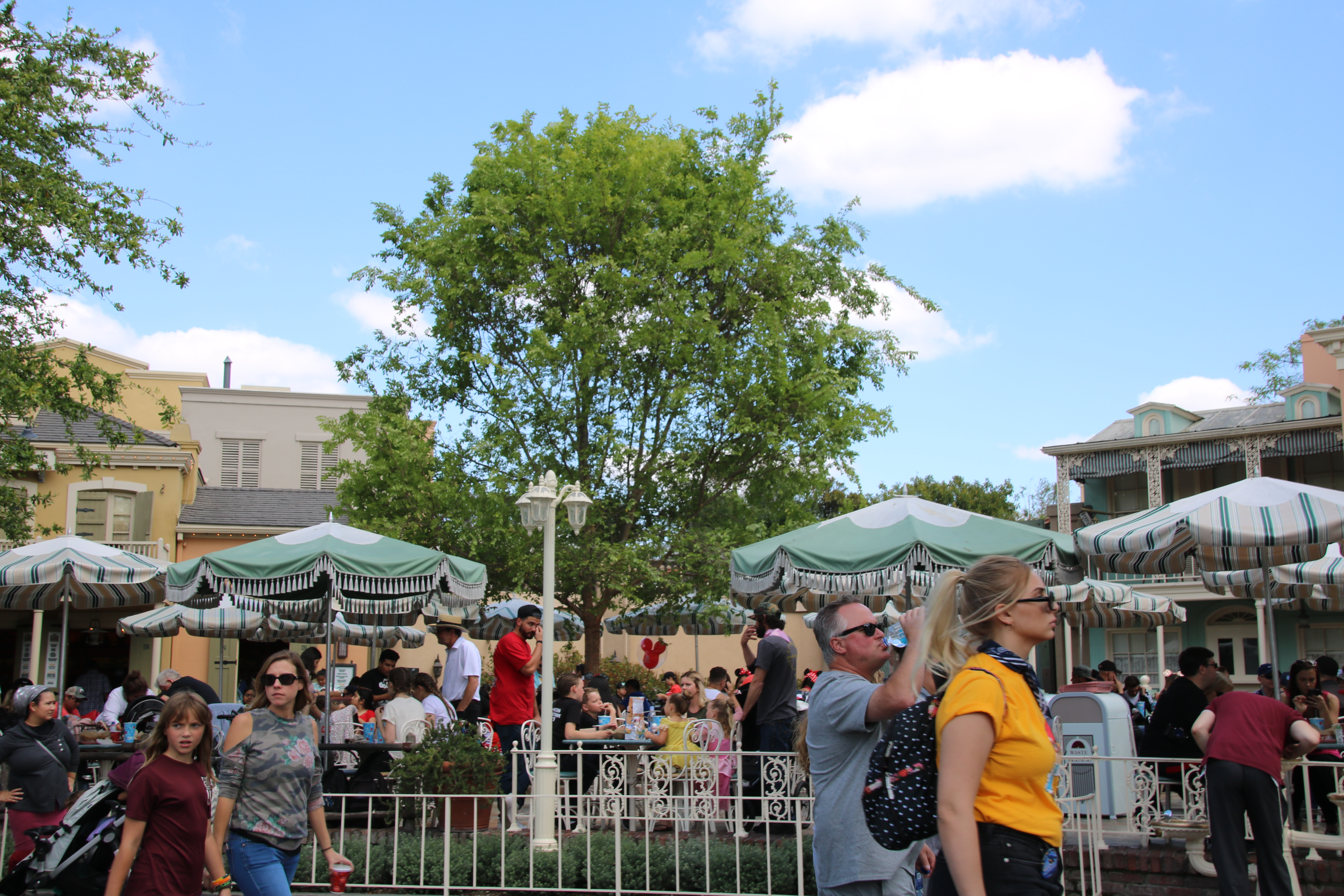 , Disneyland Update – Churro Scam, Galaxy’s Edge, and Cute Baby Animals