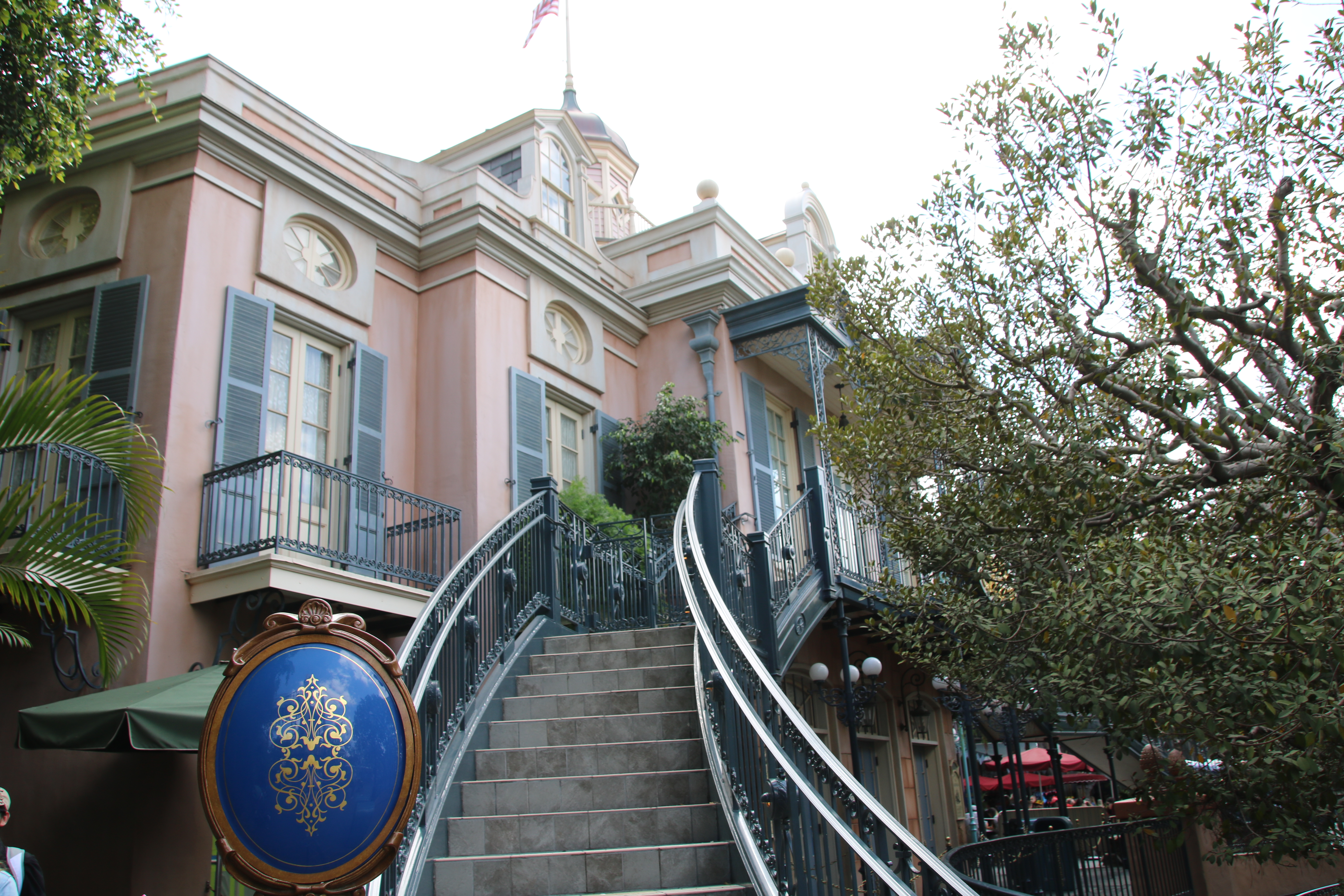, Disneyland Update – Churro Scam, Galaxy’s Edge, and Cute Baby Animals