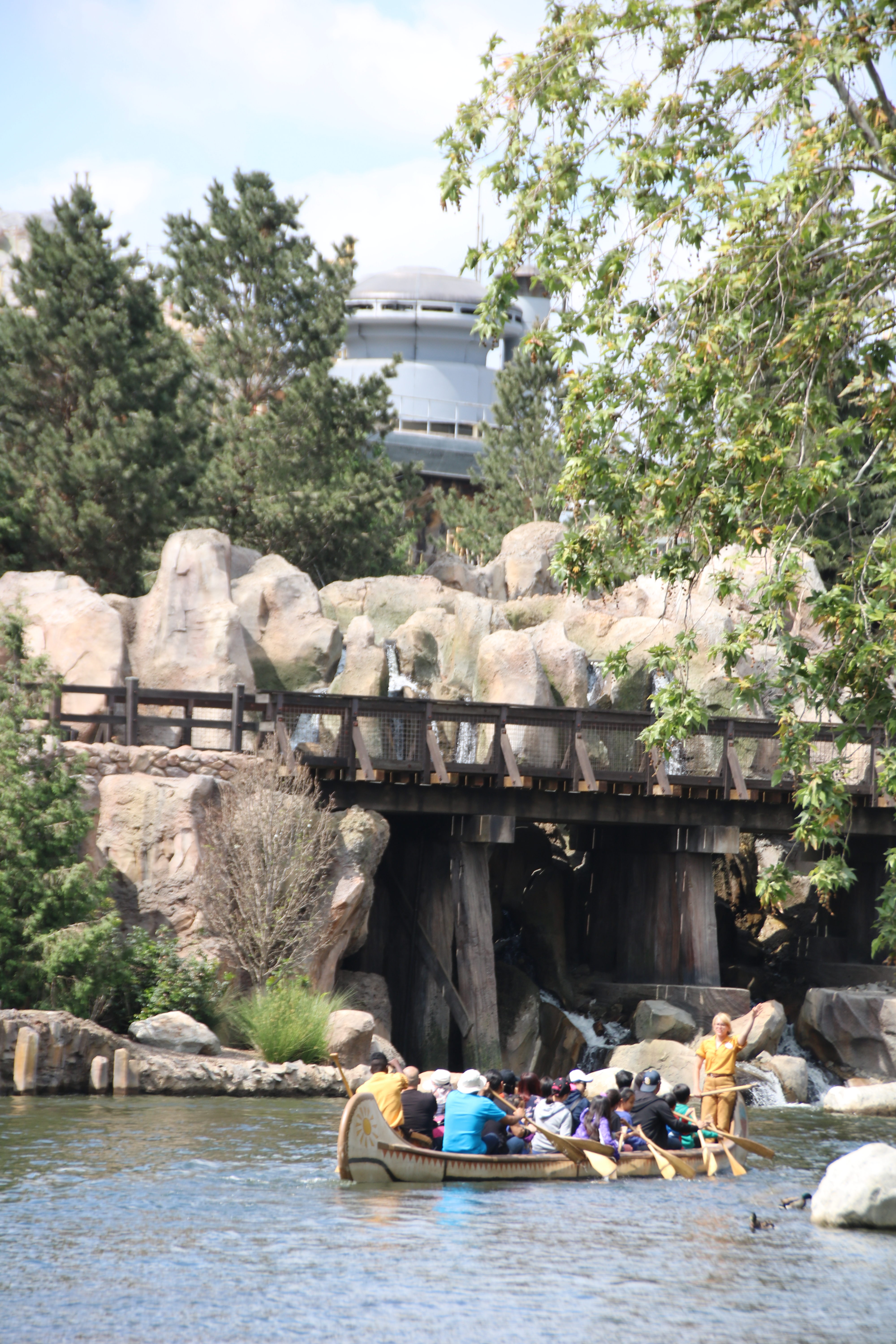 , Disneyland Update – Churro Scam, Galaxy’s Edge, and Cute Baby Animals