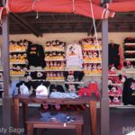 Photo_IMG_0208_disneyland_MiceChat