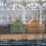Photo_IMG_9299_disneyland_MiceChat