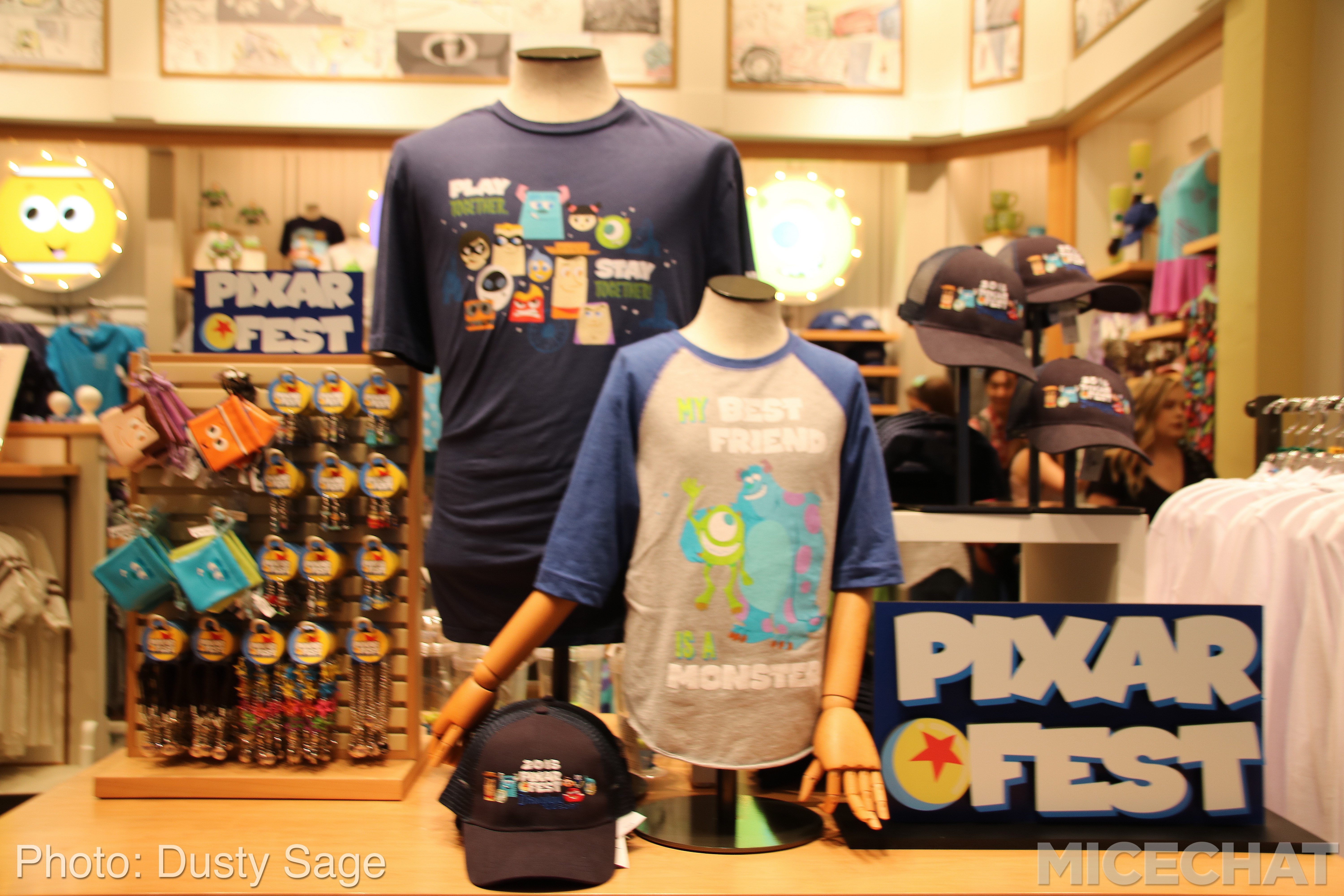 , Disneyland Resort Update – Coming Soon . . .