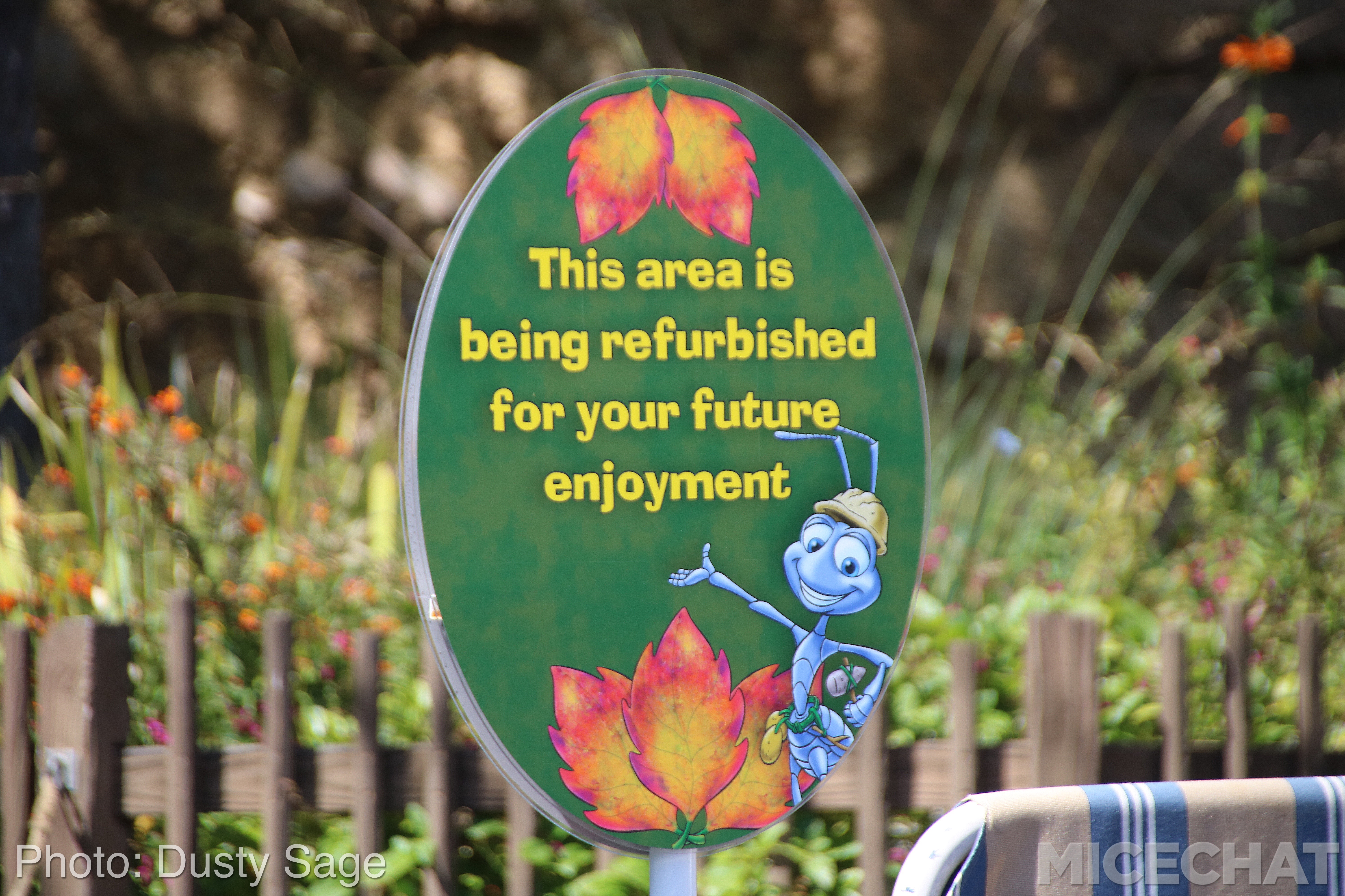 , Disneyland Resort Update – Coming Soon . . .