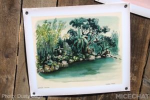 , Disneyland Resort Update – Coming Soon . . .
