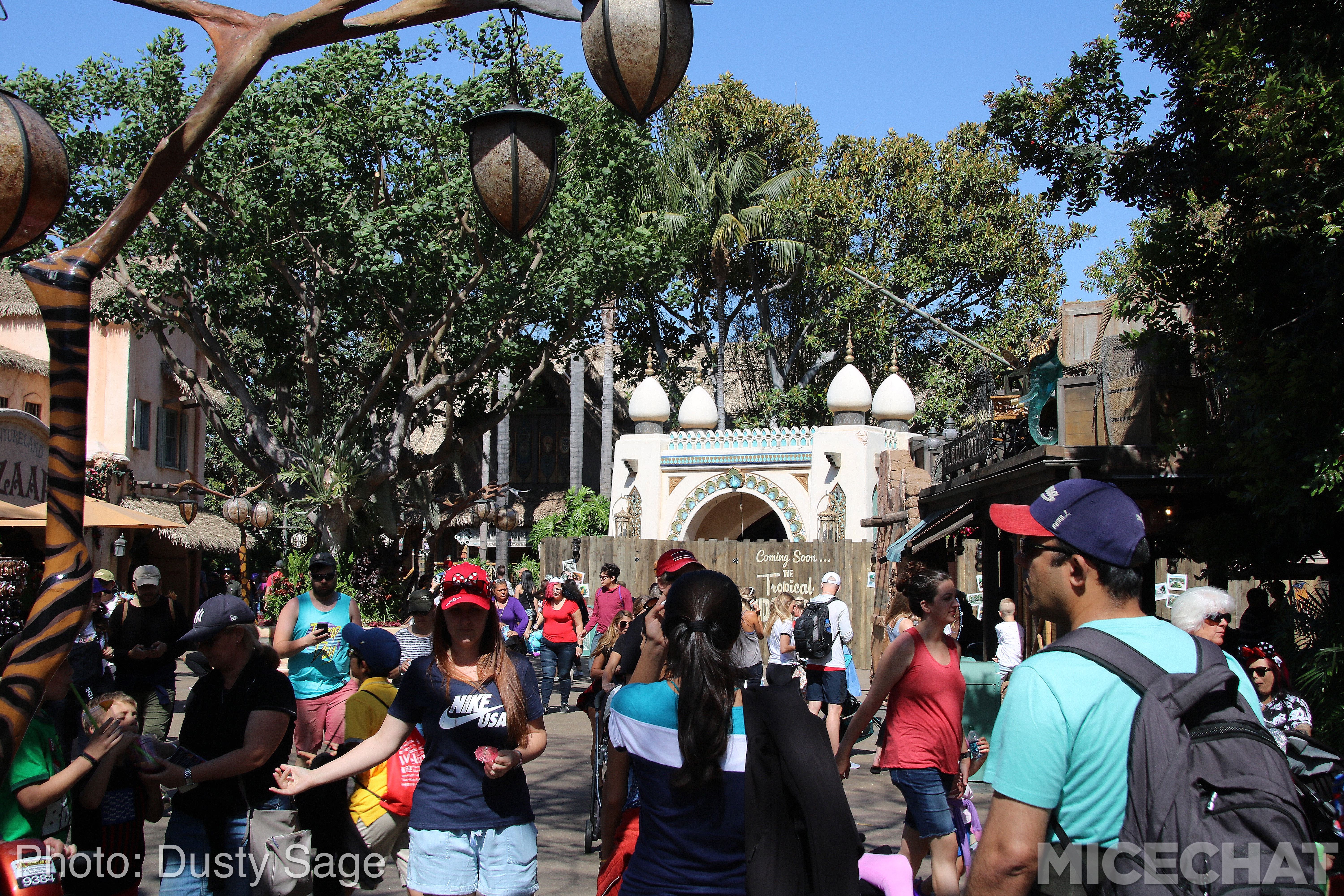 , Disneyland Resort Update – Coming Soon . . .