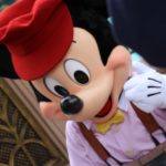 Photo_IMG_9804_disneyland_MiceChat