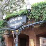Photo_IMG_9889_disneyland_MiceChat