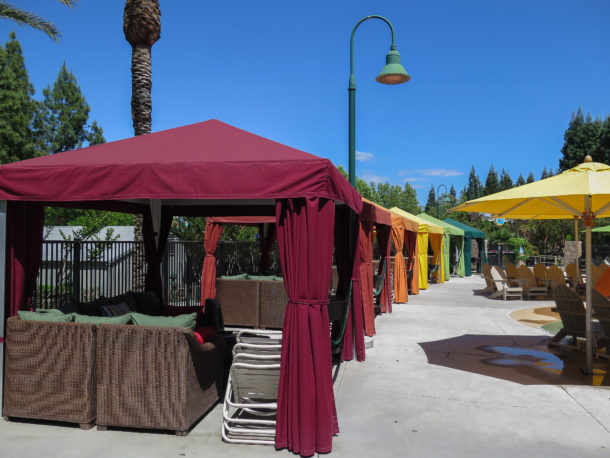, A Blooming Wet Time at Gilroy Gardens