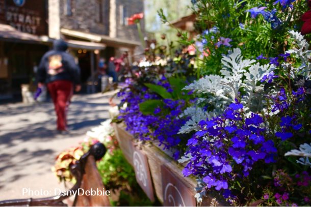 , Knott&#8217;s Berry Farm is Electric with New Summer Entertainment Offerings