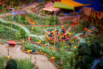 _DSC0158