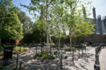 Panda-Queue-Garden