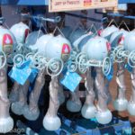 Photo_IMG_0768_disneyland_MiceChat