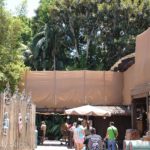 Photo_IMG_0920_disneyland_MiceChat