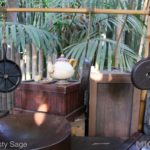 Photo_IMG_0952_disneyland_MiceChat