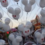 Photo_IMG_0988_disneyland_MiceChat