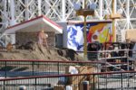 Photo_IMG_9502_disneyland_MiceChat
