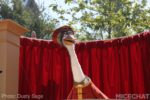 Photo_IMG_9577_Dreamworks_Theater_Universal_MiceChat