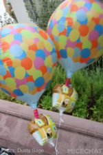 Photo_IMG_9700_Disneyland_MiceChat 2