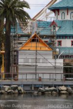 Photo_IMG_9774_Disneyland_MiceChat 2