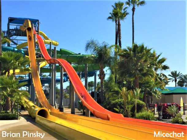 , Knott’s Berry Farm: Hang Loose For HangTime