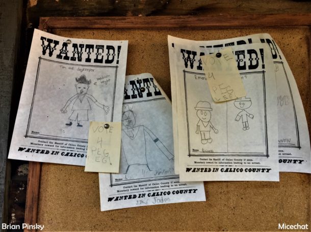 , Knott’s Berry Farm: Hang Loose For HangTime