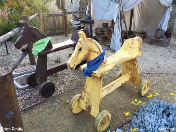 , Knott’s Berry Farm: Hang Loose For HangTime