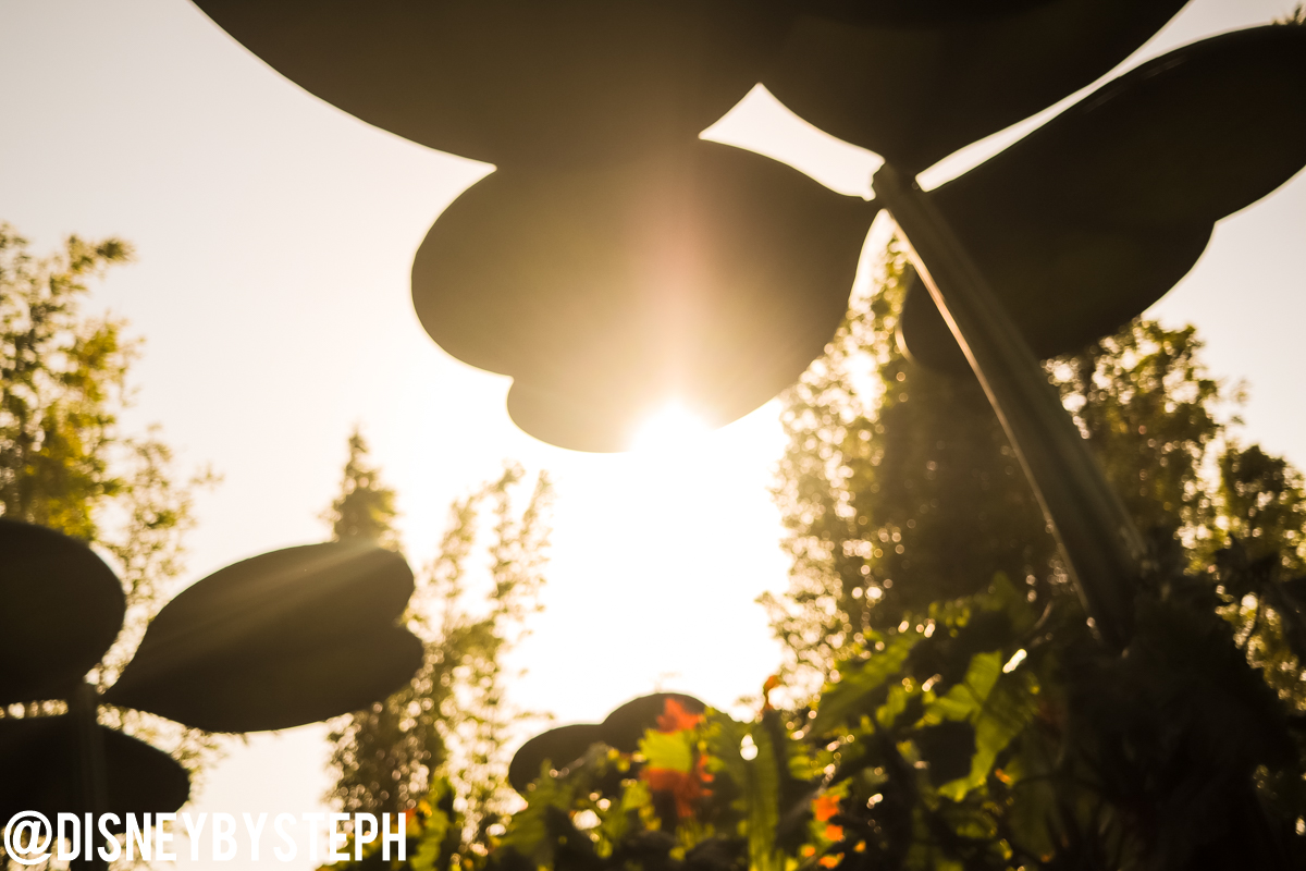 , Disneyland Resort Update – I Melt For You