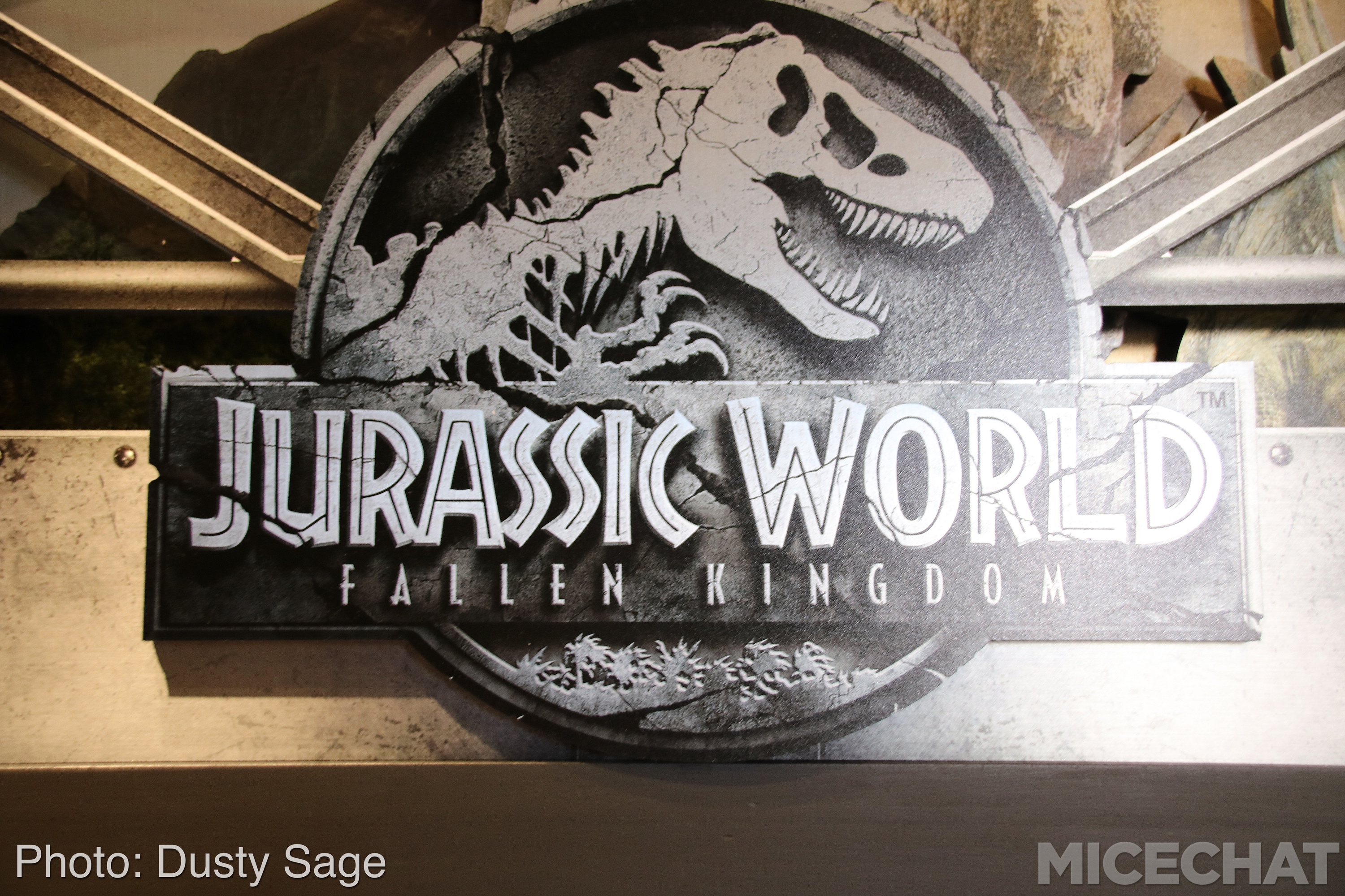 , Universal Studios Hollywood – Wizarding World Casts New Spells