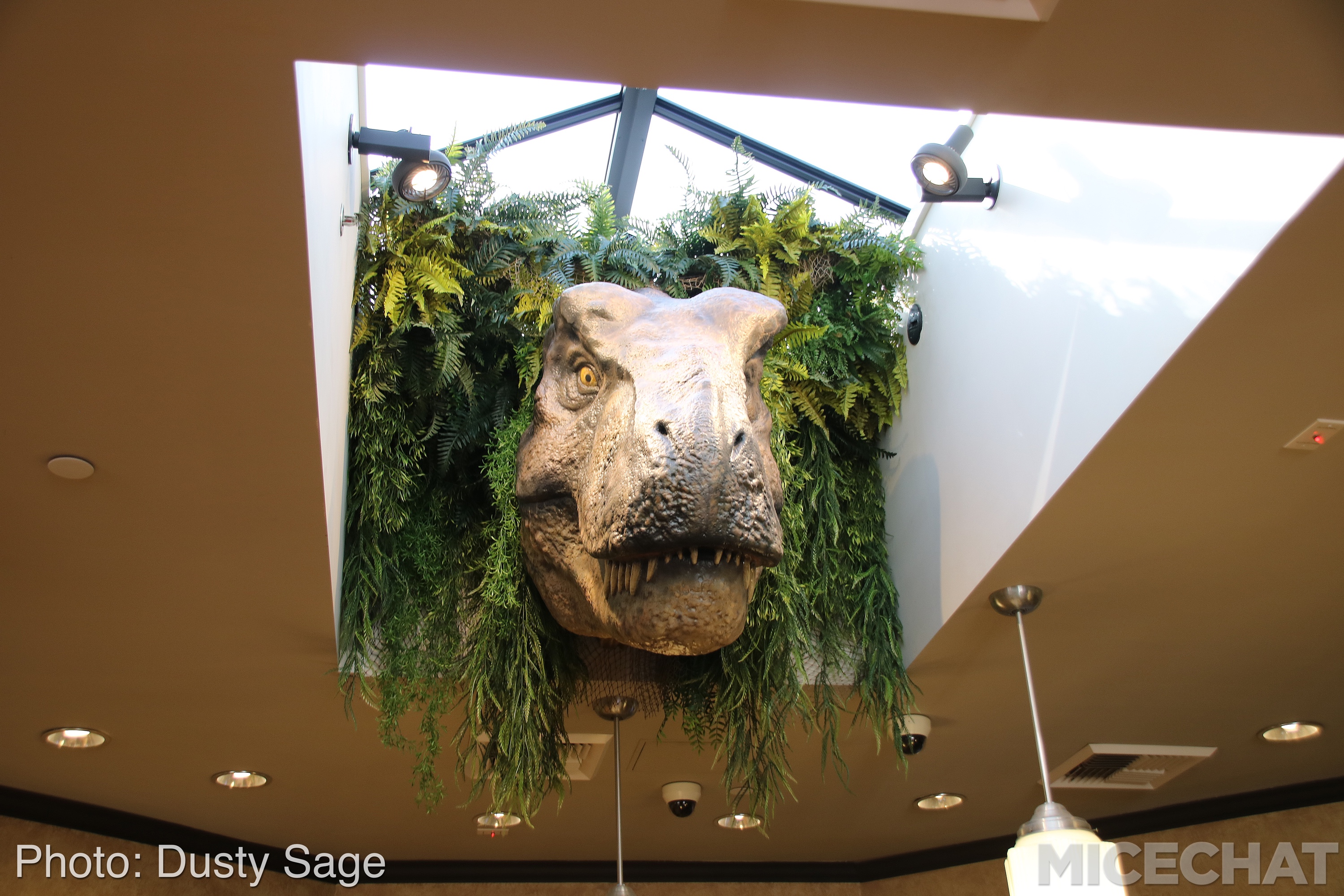 , Universal Studios Hollywood – Wizarding World Casts New Spells