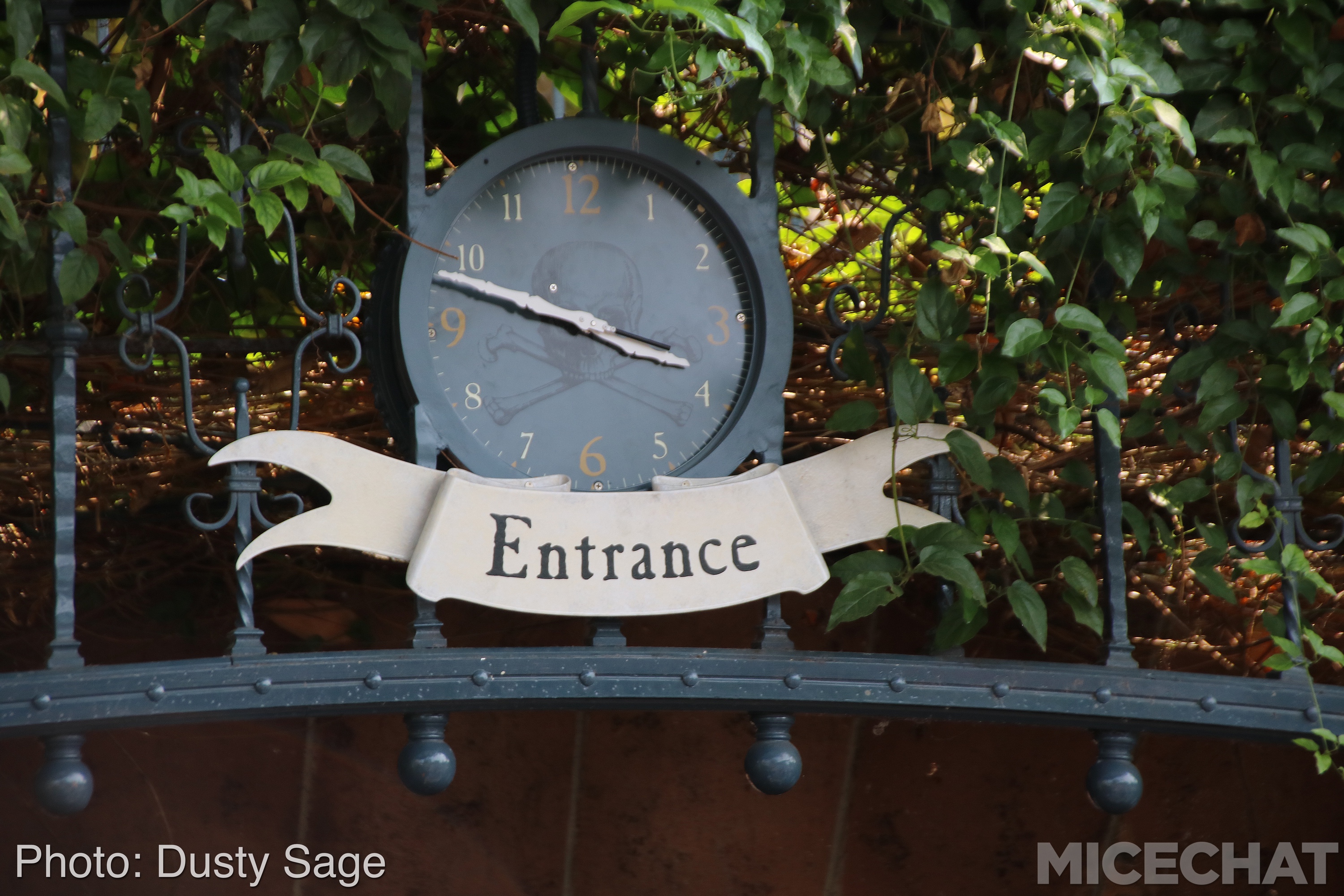, Disneyland Update – Star Wars, Tiki & Castle Crumbles