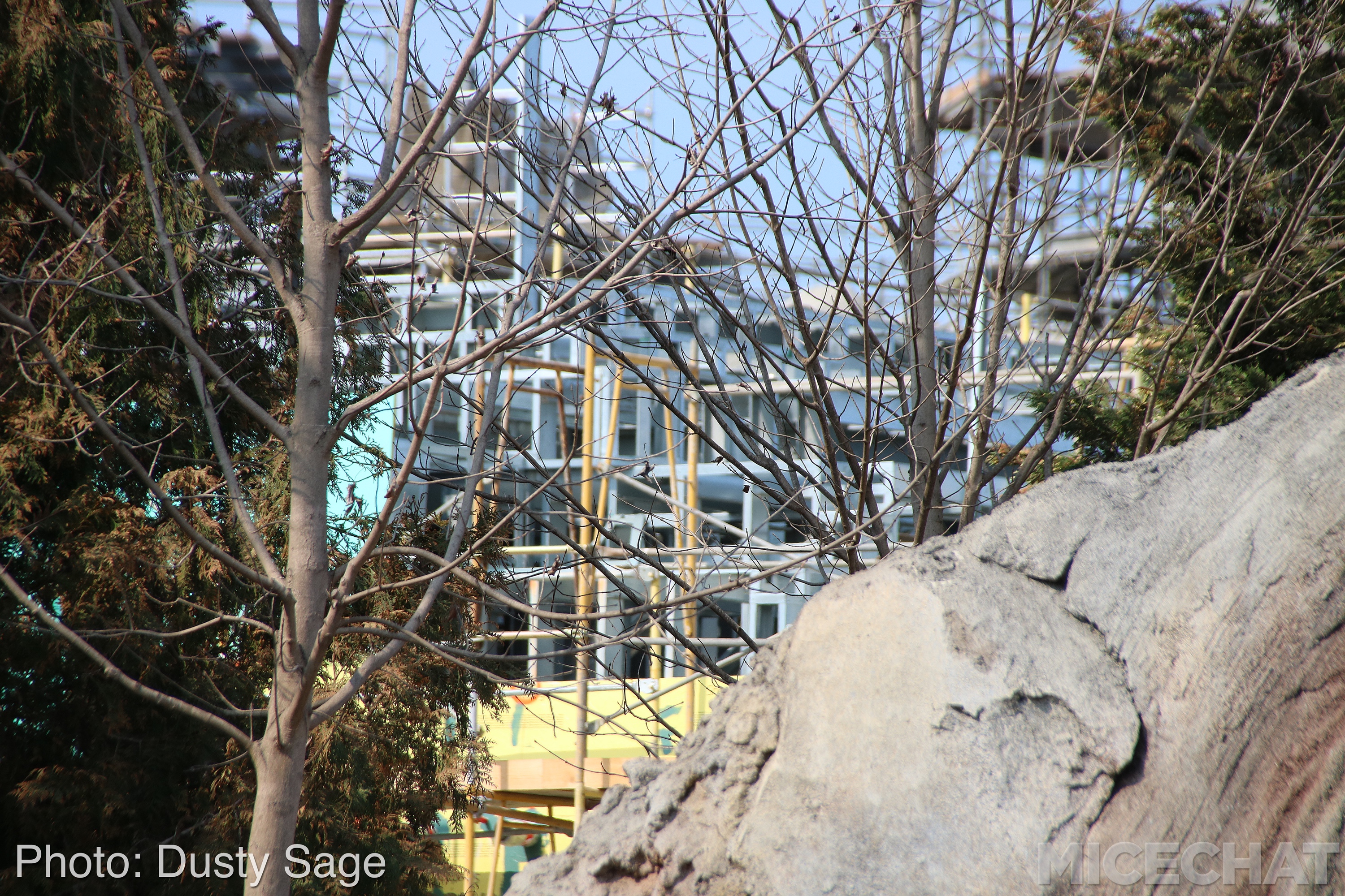 , Disneyland Update – Star Wars, Tiki & Castle Crumbles