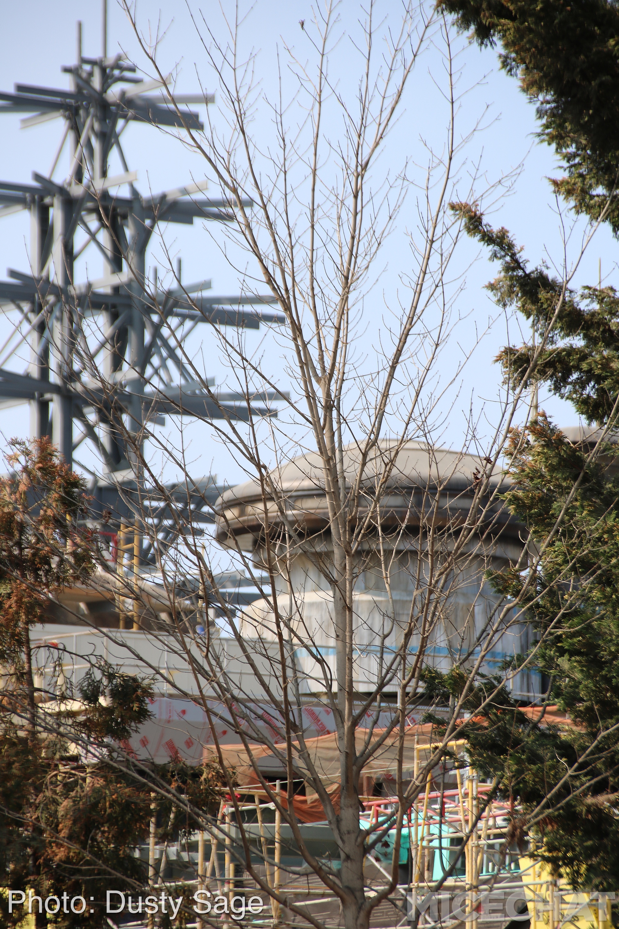 , Disneyland Update – Star Wars, Tiki & Castle Crumbles